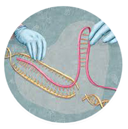 Cancer treatment