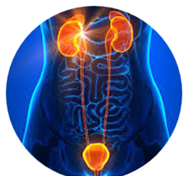 Urology treatment